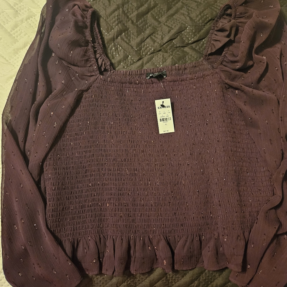 Express Elegant Burgundy Womens Top Size Xl New With Tags